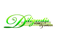 Diligentis logo